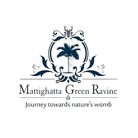 Mattighatta Green Ravine